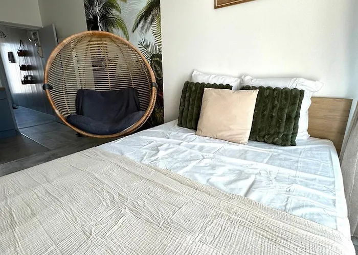 Reve Tropical, Proche Plage, Place De Parking * 圣让-德蒙